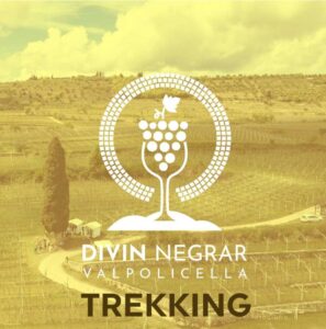 Divin Negrar - Eventi Vino 2025